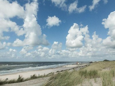 Holiday house Bungalow in Sint Maartenszee near Beach - Environment photo 17