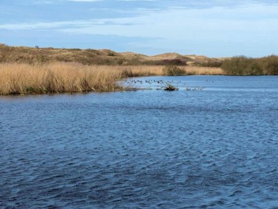 Holiday house Bungalow in Sint Maartenszee near Beach - Environment photo 31