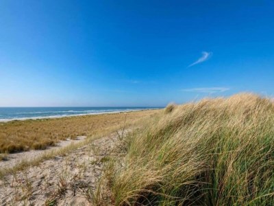 Holiday house Bungalow Sint Maartenszee near Sandy Beach - Environment photo 19