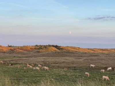 Holiday house Bungalow Sint Maartenszee near Sandy Beach - Environment photo 29