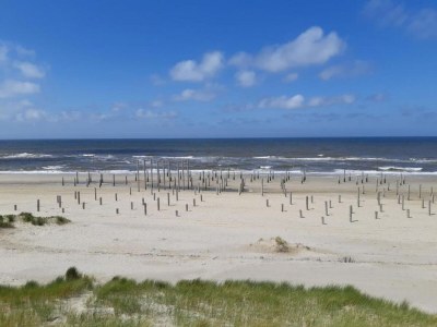 Holiday house Wohnung mit Dünenblick von Petten - Environment photo 19