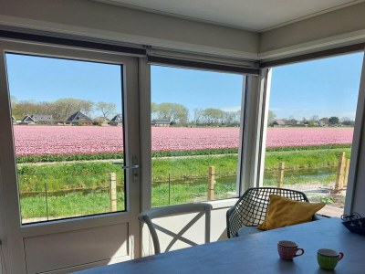 Holiday house Modern bungalow close to beach with views - Outdoor photo 6