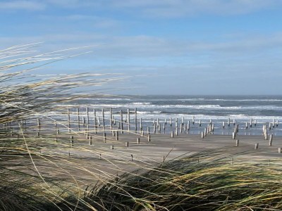 Holiday house Modern bungalow close to beach with views - Environment photo 26