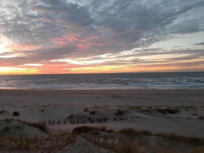 Holiday house Charmantes Chalet in Sint Maartenszee - Environment photo 18