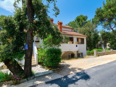 Apartment One bedroom apartment with terrace Artatore, Lošinj A-2509-c - Outdoor photo 12