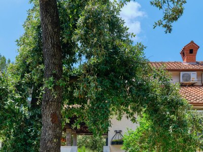 Apartment One bedroom apartment with terrace Artatore, Lošinj A-2509-e - Outdoor photo 11