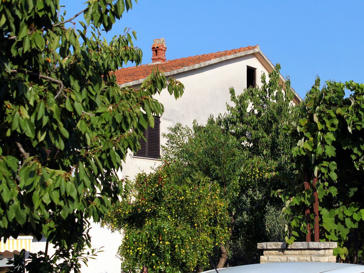 Apartment One bedroom apartment with terrace Novigrad A-2536-d - Outdoor photo 3