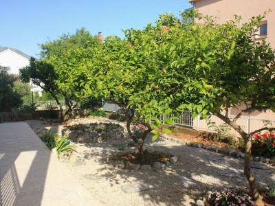 Apartment One bedroom apartment with terrace Orebić, Pelješac A-10082-c - Outdoor photo 5