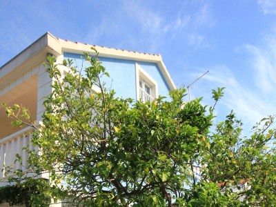 Apartment Studio flat with terrace Viganj, Pelješac AS-10189-b - Outdoor photo 6