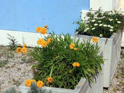 Apartment Studio flat with terrace Viganj, Pelješac AS-10189-b - Outdoor photo 9