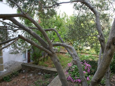 Apartment Two bedroom apartment with balcony and sea view Podgora, Makarska A-518-a - Outdoor photo 6