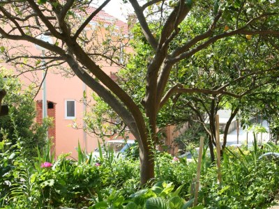 Apartment One bedroom apartment with air-conditioning Podgora, Makarska A-518-b - Outdoor photo 5