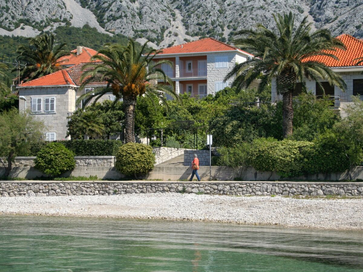 Apartment One bedroom apartment with terrace and sea view Orebić, Pelješac A-10436-b - Outdoor photo 3