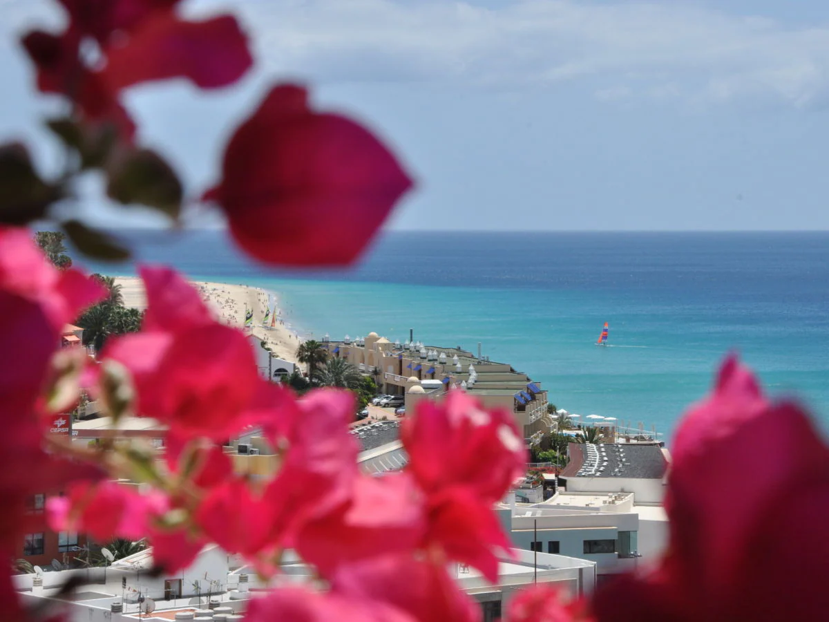 Holiday apartment Chateau Morro 7