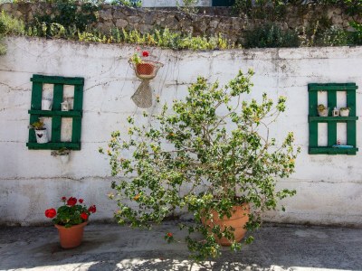 Apartment One bedroom apartment with balcony and sea view Tisno, Murter A-815-d - Outdoor photo 18