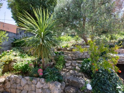 Apartment One bedroom apartment with balcony and sea view Tisno, Murter A-815-d - Outdoor photo 20