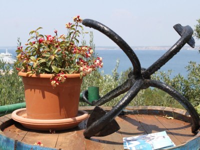 Apartment One bedroom apartment with terrace and sea view Kali, Ugljan A-834-b - Outdoor photo 11