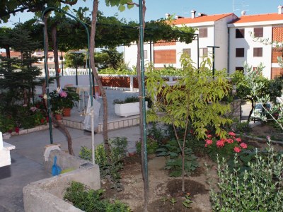 Holiday room with terrace Palit, Rab S-5061-a - Outdoor photo 7