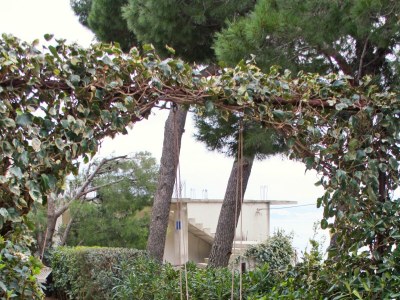 Apartment One bedroom apartment with balcony and sea view Nemira, Omiš A-5884-b - Outdoor photo 11
