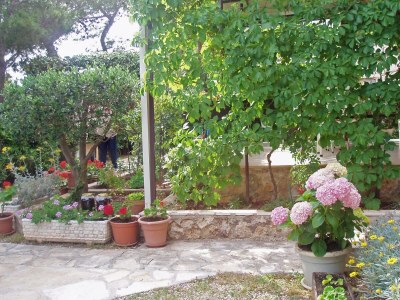 Apartment One bedroom apartment with balcony and sea view Nemira, Omiš A-5884-c - Outdoor photo 10