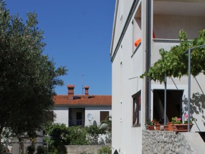 Apartment Two bedroom apartment with terrace Mali Lošinj, Lošinj A-8090-c - Outdoor photo 13