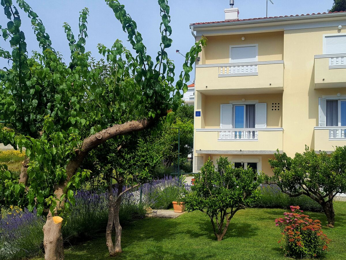 Apartment Comfortable and spacious apartment with terrace Rab A-12383-a