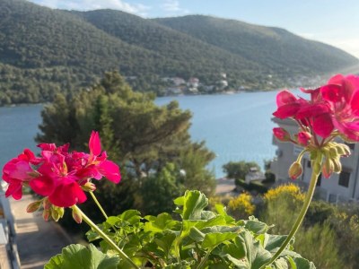 Apartment Two bedroom apartment near beach Grebaštica, Šibenik A-5270-c - Outdoor photo 10