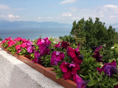 Holiday room with air-conditioning Njivice, Krk S-5362-a - Outdoor photo 11