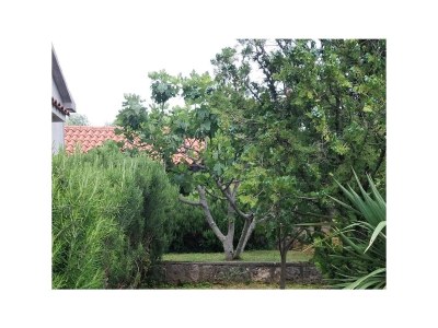 Apartment One bedroom apartment with terrace Pinezići, Krk A-5319-b - Outdoor photo 17