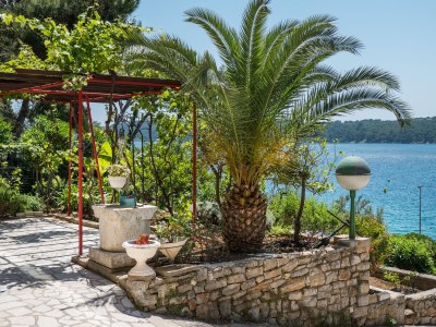 Apartment One bedroom apartment near beach Mali Lošinj, Lošinj A-5391-b - Outdoor photo 11