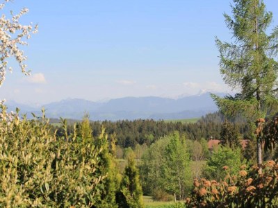 Holiday house Villa in Bayern nahe Skiloipen & Sauna - Environment photo 30