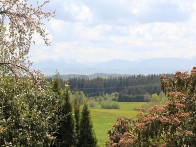 Holiday house Villa in Bayern nahe Skiloipen & Sauna - Environment photo 31