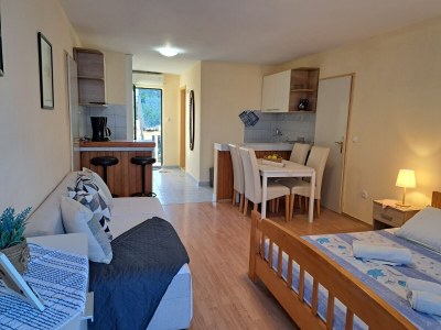 Apartment Studio flat near beach Lumbarda, Korčula AS-4385-b - Outdoor photo 12