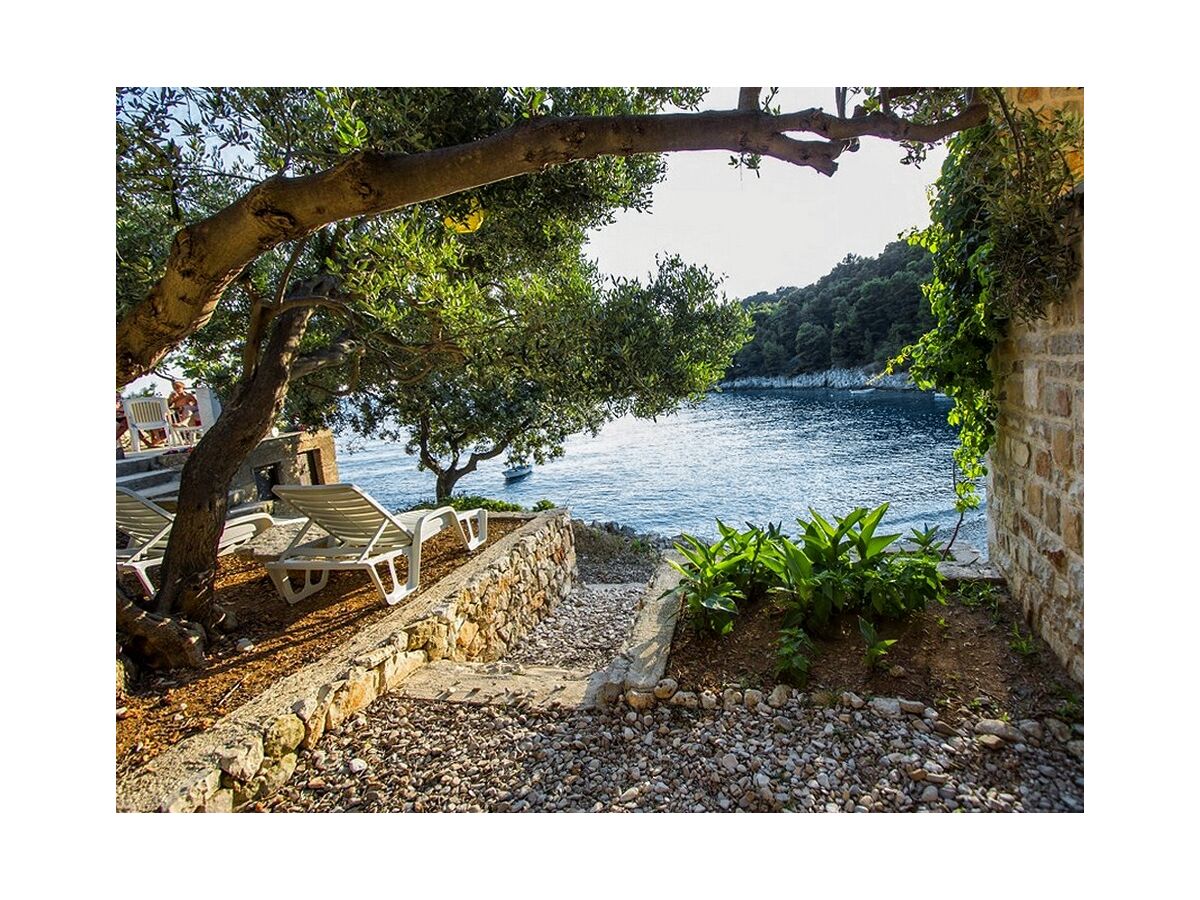 Apartment Two bedroom apartment near beach Cove Skozanje, Hvar A-5713-c