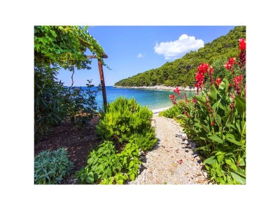 Apartment Two bedroom apartment near beach Cove Skozanje, Hvar A-5713-c - Outdoor photo 7