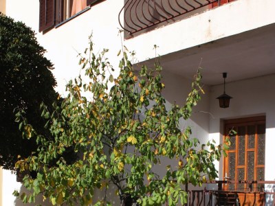 Apartment Two bedroom apartment with terrace Biograd na Moru, Biograd A-5899-a - Outdoor photo 9