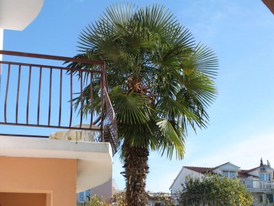 Apartment Two bedroom apartment with terrace Biograd na Moru, Biograd A-5899-d - Outdoor photo 6