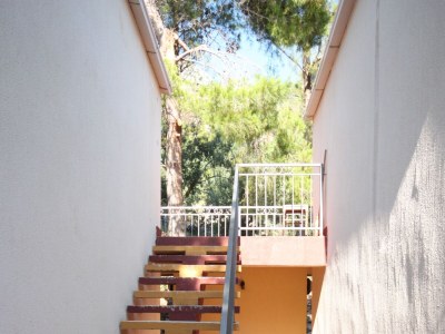 Apartment Studio flat with balcony and sea view Drašnice, Makarska AS-3330-c - Outdoor photo 8