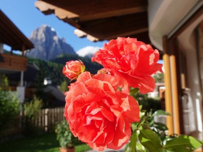Apartment "Anna" at Villa Mastlé - Outdoor photo 10