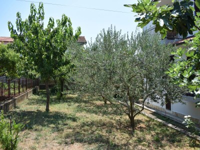 Apartment Studio flat with balcony and sea view Sveti Filip i Jakov, Biograd AS-4299-g - Outdoor photo 8