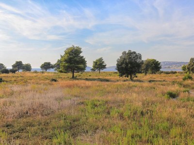 Apartment Two bedroom apartment with terrace and sea view Rogoznica A-4162-p - Outdoor photo 32