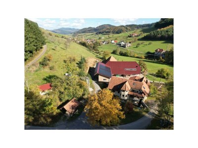 Holiday apartment Himmelsbach - Outdoor photo 10