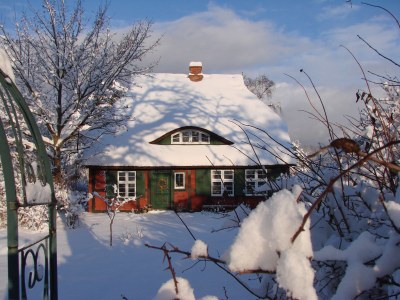 Holiday house "The Darß House" - Outdoor photo 6