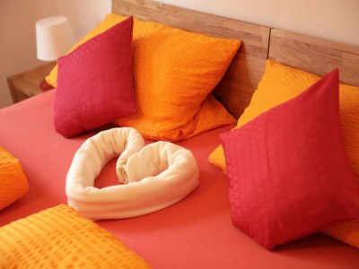 Holiday apartment Falkenstein - Ferienhof Neukirchinger - Features photo 26