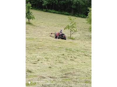 Farmhouse Winnewieser Hof - Outdoor photo 6