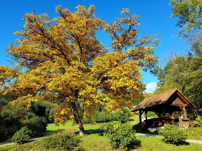Holiday apartment Wohnung "Schwalbenflug" - Outdoor photo 9