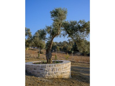 Villa Callistemon - Outdoor photo 7