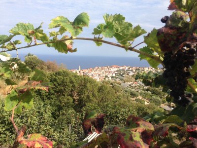 Holiday house Coldirodi, San Remo - Outdoor photo 9