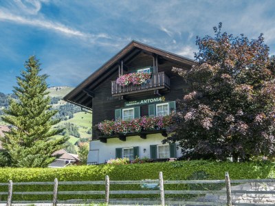 Holiday apartment In the holiday home Antonia - Outdoor photo 3