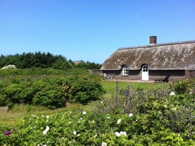 Holiday house Paarup 2 in Ulfborg - Holiday house
